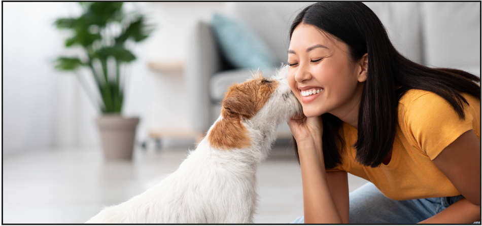4 Easiest Tricks to Train Your Dog