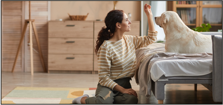 Get Paid to Train a Therapy Dog