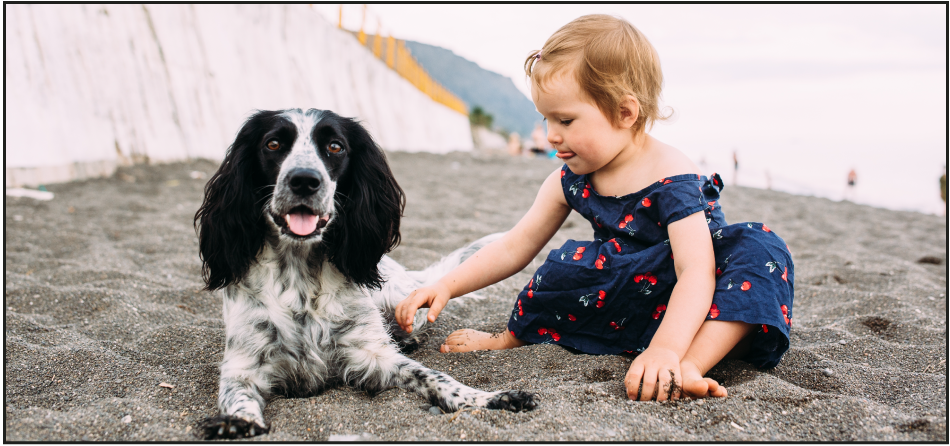 Best Dog Breeds that Get along with Kids