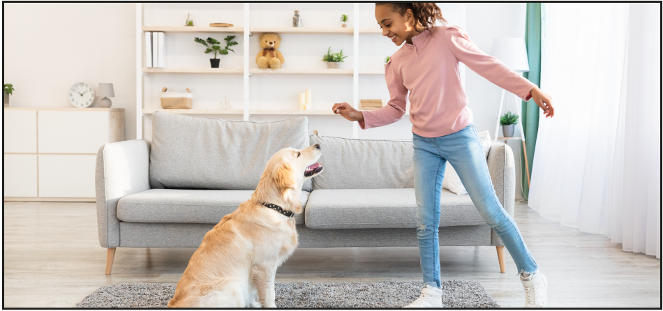 How Do I Teach My Dog Not to Jump Up?