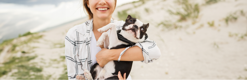 Low-Maintenance Dog Breeds Perfect for Busy Owners
French Bulldog